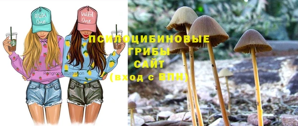 бошки Алексин
