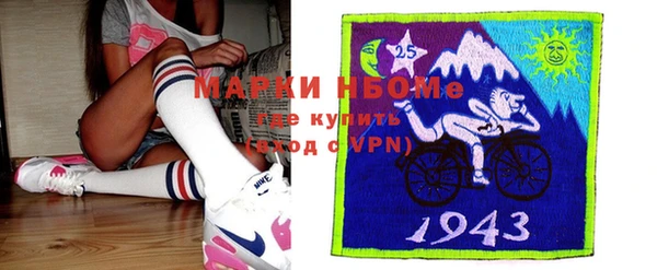 шишки Алзамай