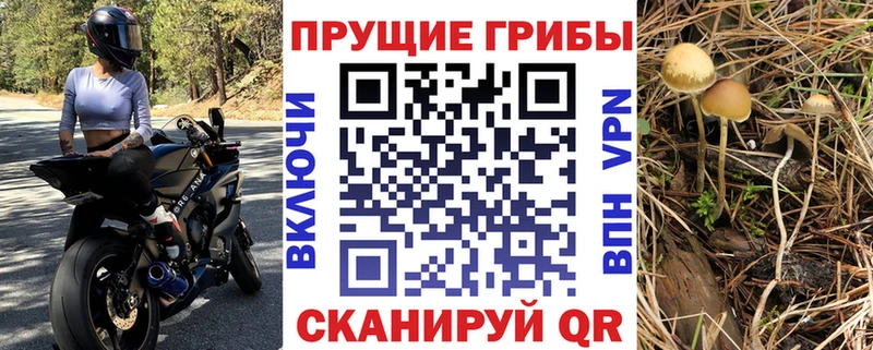 дарнет шоп  MEGA tor  Псилоцибиновые грибы прущие грибы  Лобня 